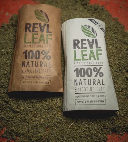 real-leaf-5